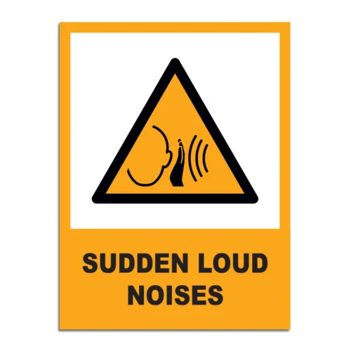 Sudden Loud Noises Signage
