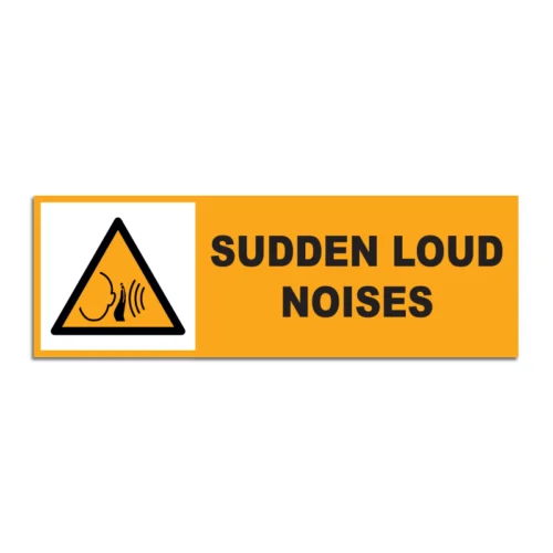 Sudden Loud Noises Signage